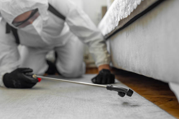 Professional Termite Control technician working in Platte, SD