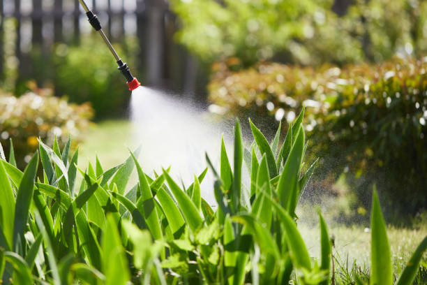 24/7 Emergency Termite Control experts in Platte, SD